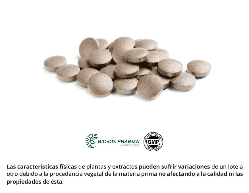 Гинкго билоба 500 мг для улучшения памяти и концентрации