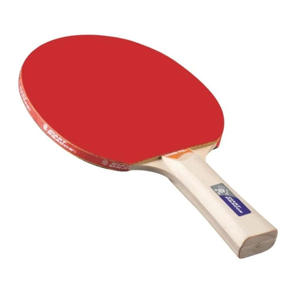 Set pentru tenis de masă Giant Dragon BST 12201P40+