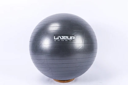 Fitball LiveUp LS3222/75/GY