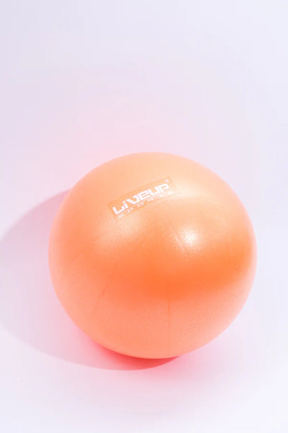 Fitball LiveUp Mini Ball LS3225/25/OG