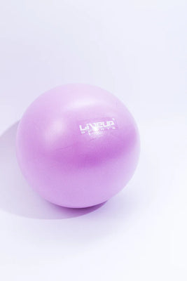 Фитбол LiveUp Mini Ball LS3225/20/VT