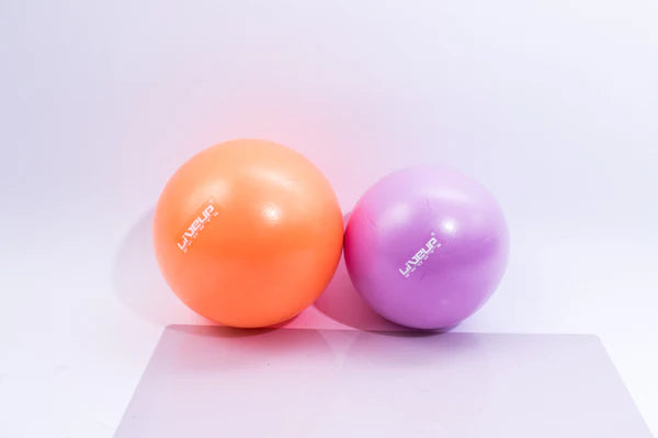 Fitball LiveUp Mini Ball LS3225/20/VT