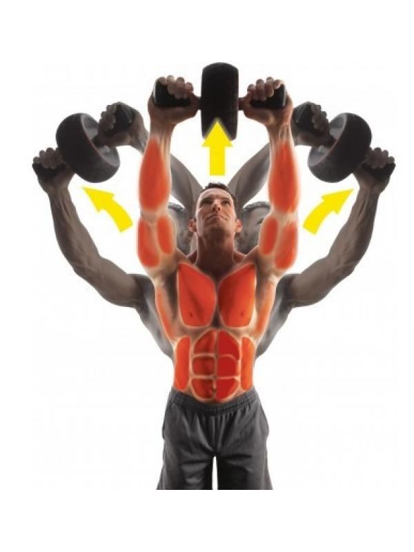 Speed Abs IRON GYM, тренажер для пресса и всего тела