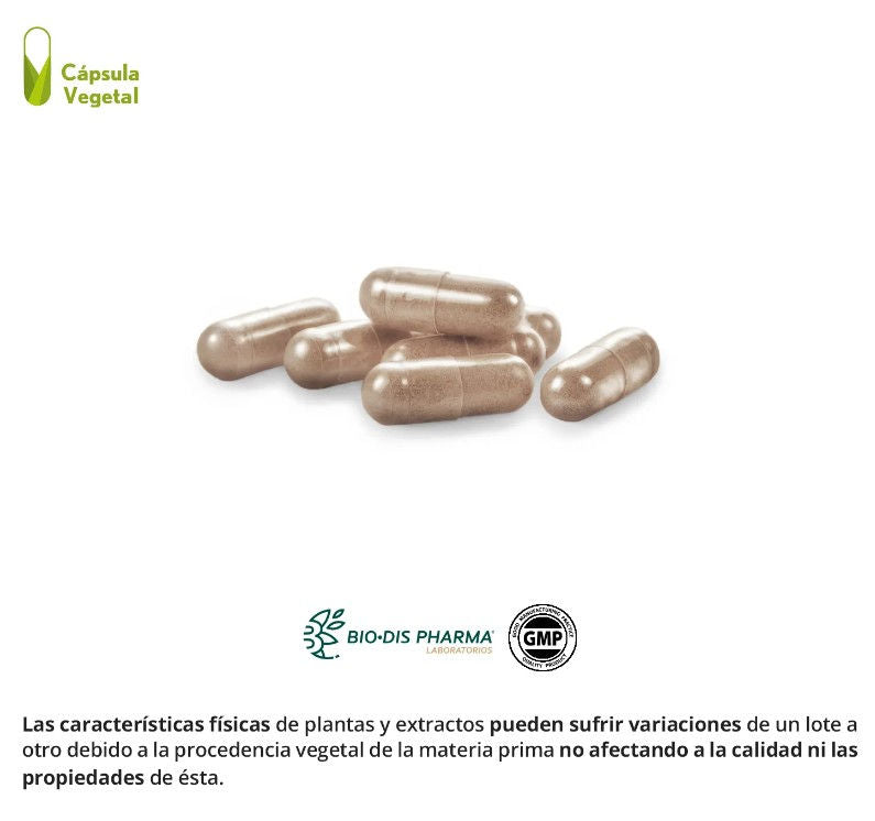 Reishi 2000 mg. (dry extract) vegetable capsules