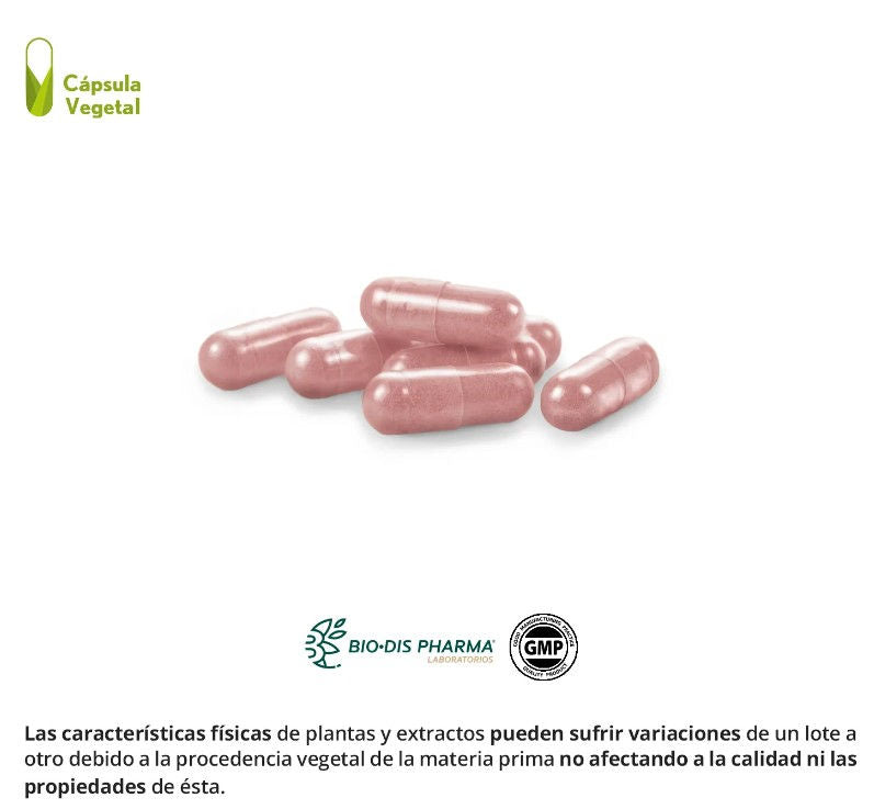 Cranberry 120 pac. (dry extract) 30 vegetable capsules