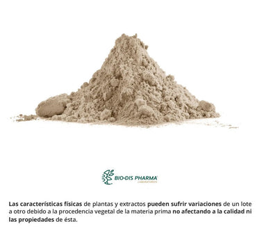 Ginkgo biloba 500 mg. 60 tablets.