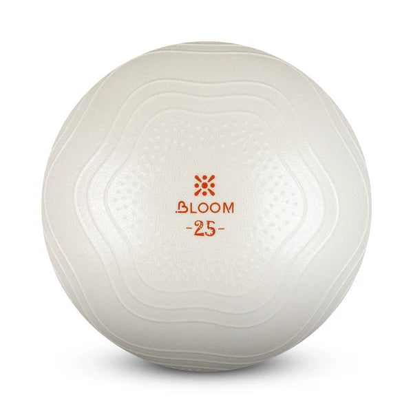Мини фитбол LiveUp BLOOM Mini Ball купить