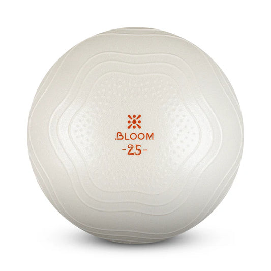 Мини фитбол LiveUp BLOOM Mini Ball купить