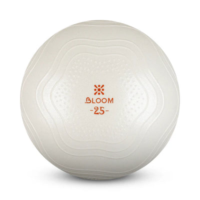Fitball LiveUp BLOOM Mini Ball LB7001/25/WH