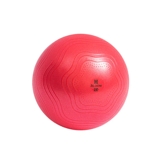 Мини фитбол LiveUp BLOOM Mini Ball купить