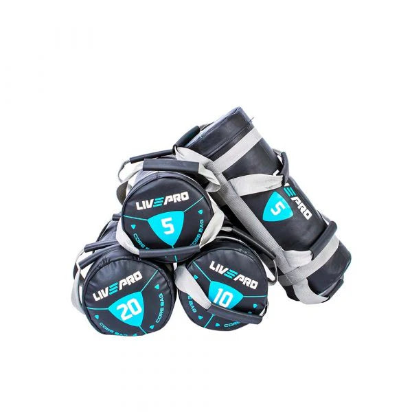 Мешок для кроссфита LivePro POWER BAG LP8120