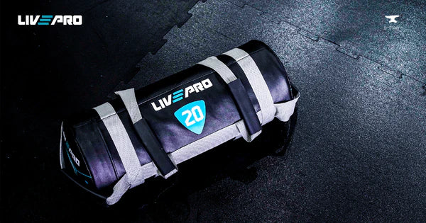 Мешок для кроссфита LivePro POWER BAG LP8120