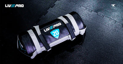 Мешок для кроссфита LivePro POWER BAG LP8120
