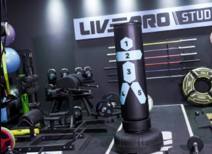 Sac de box vertical LivePro LP8632/BK