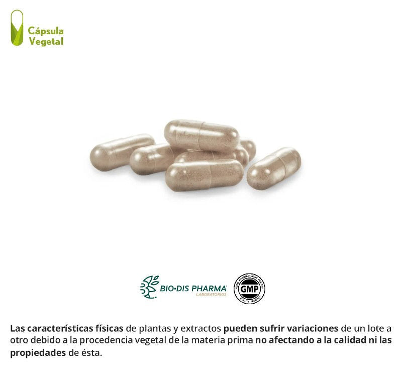 Gotu kola (complex) 2500 mg. (dry extract) vegetable capsule