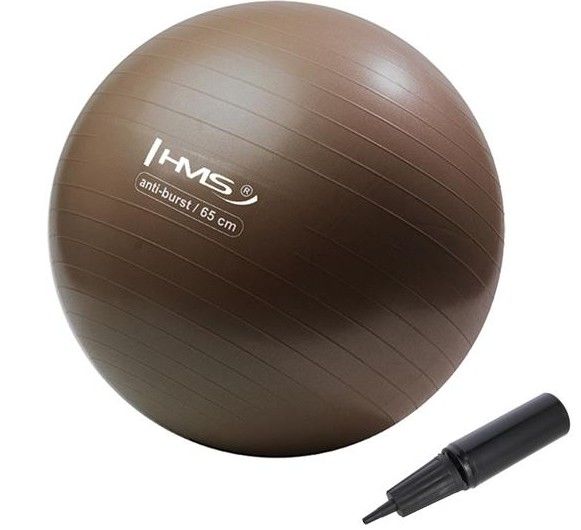 Minge fitnes yb02 65cm gym ball hms (grizzly) 17-42-121