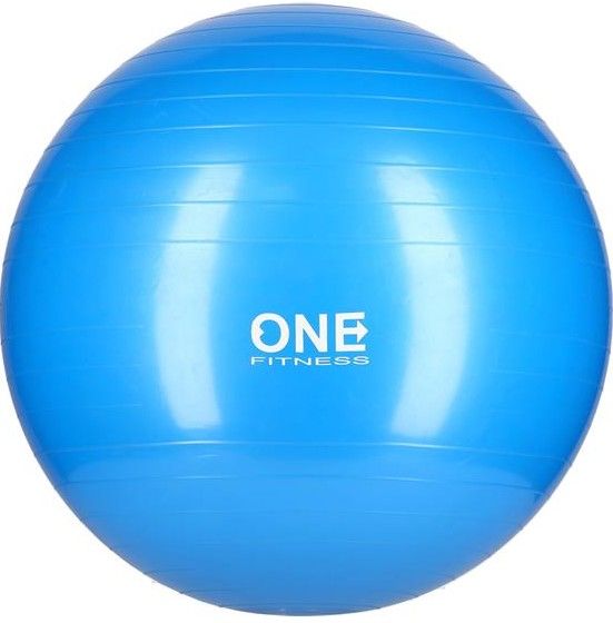 Фитбол gym ball 10 55cm one (blue)