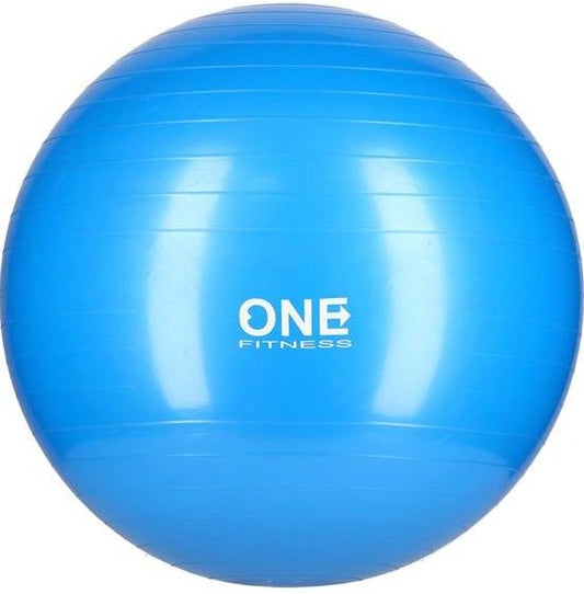 Mingea fitness gym ball 10 55cm one (blue)