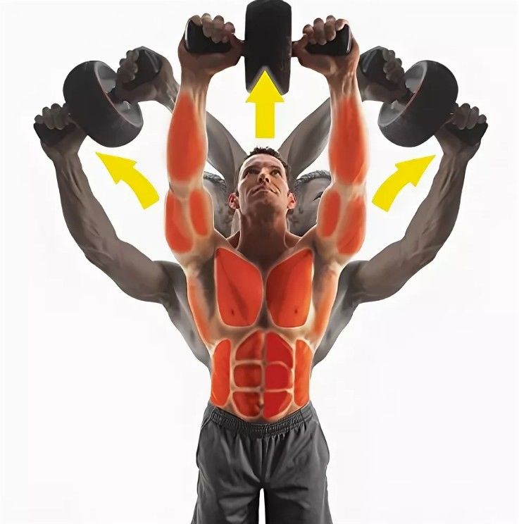 Ролик Iron Gym Speed Abs Pro для укрепления пресса